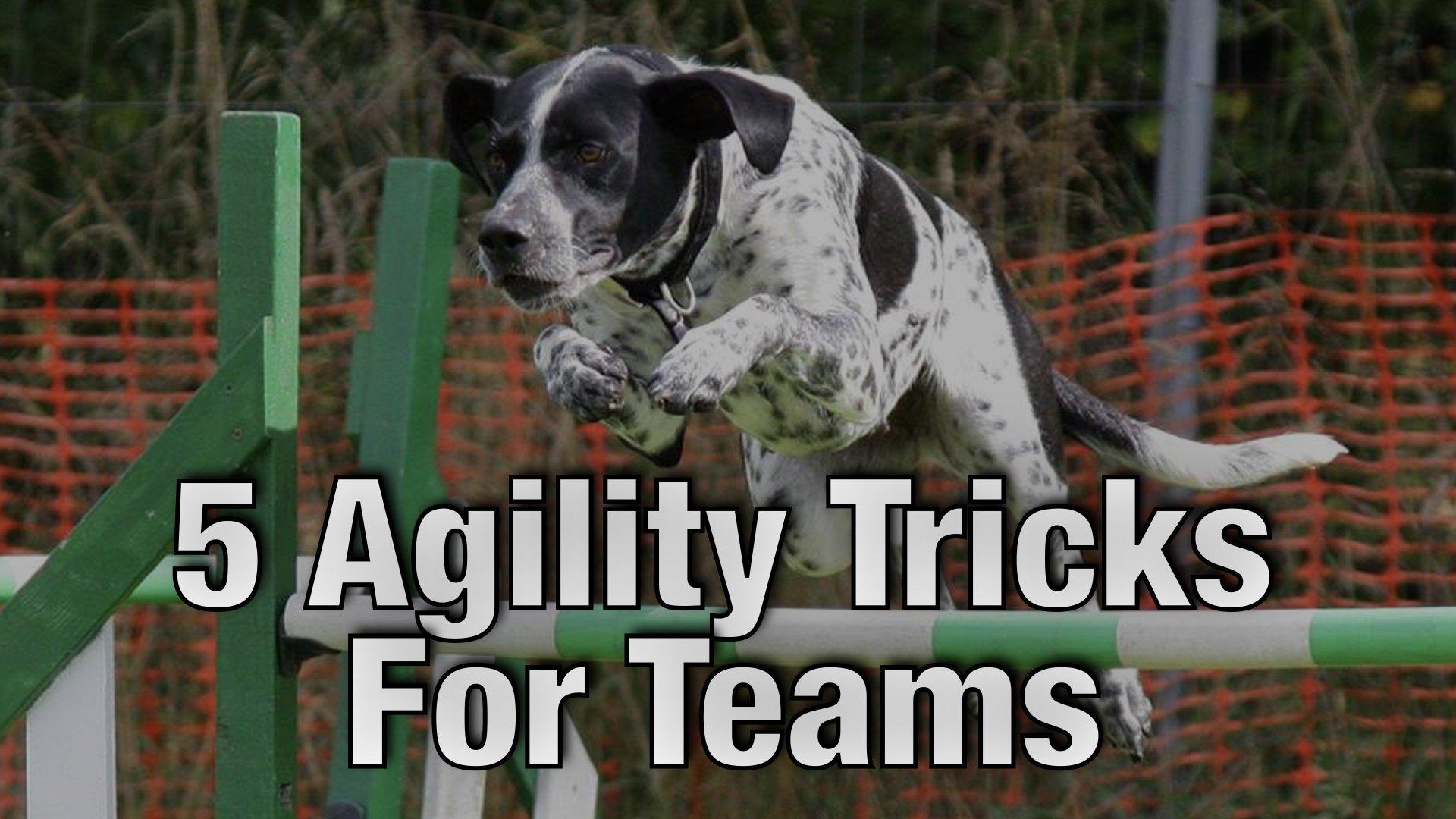 5 Agility Tricks For Your Team - AgileLnL